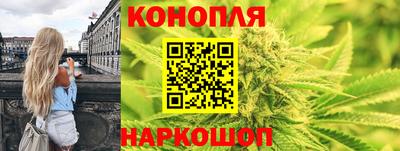 сатива Краснокаменск