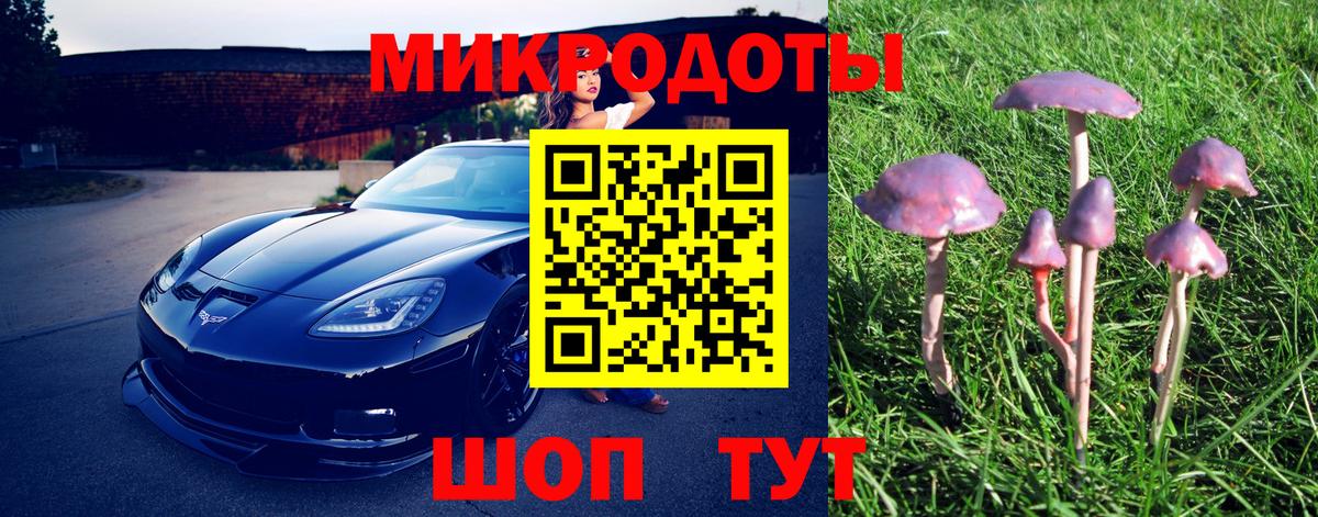 Галлюциногенные грибы GOLDEN TEACHER  Вход с VPN  Псилоцибиновые грибы мицелий  Карталы 